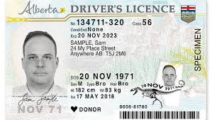 Where to Get Your Alberta Driver's License